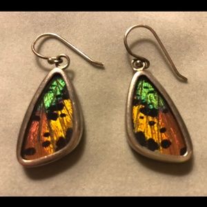 Real Butterfly Wings Earrings (Sterling Silver)